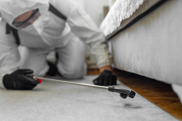 Professional Bed Bug Control technician working in Youngsville, NC